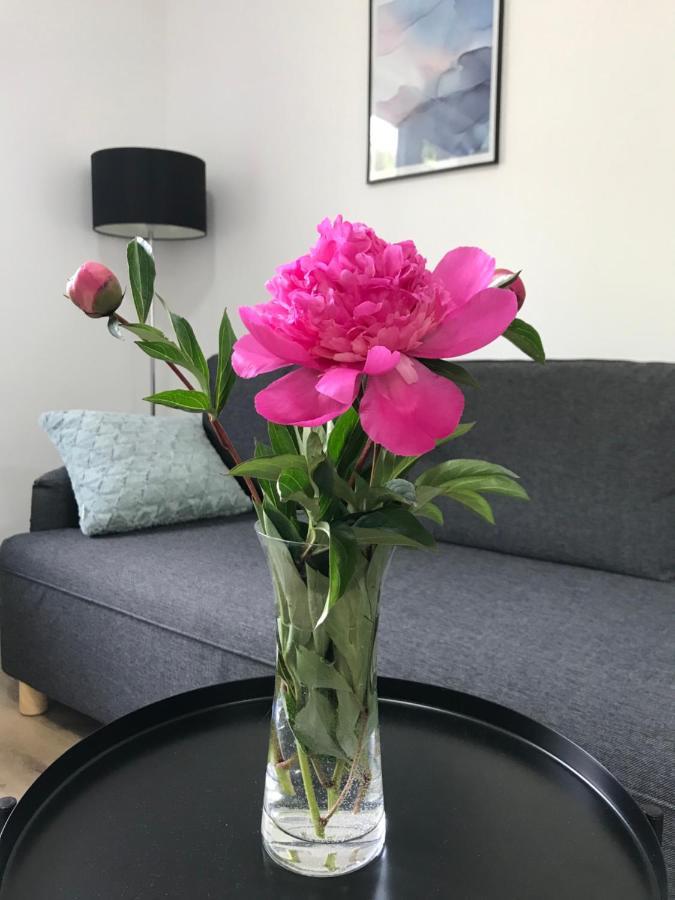 Apartman Na Kopci Krucemburk المظهر الخارجي الصورة